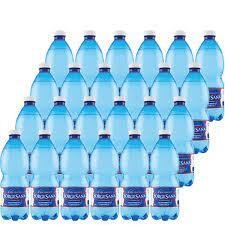 10113 - ACQUA SORGESANA 50CL FRIZZANTE